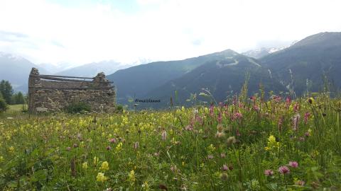 val Vezzola prato